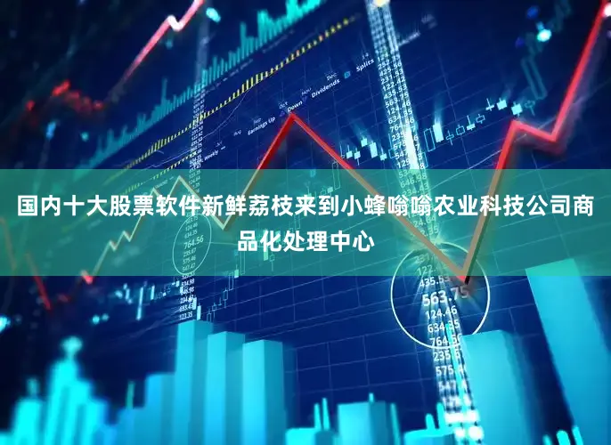 国内十大股票软件新鲜荔枝来到小蜂嗡嗡农业科技公司商品化处理中心