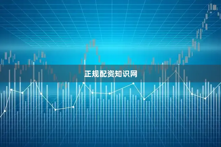 正规配资知识网
