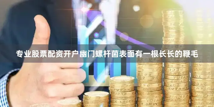 专业股票配资开户幽门螺杆菌表面有一根长长的鞭毛