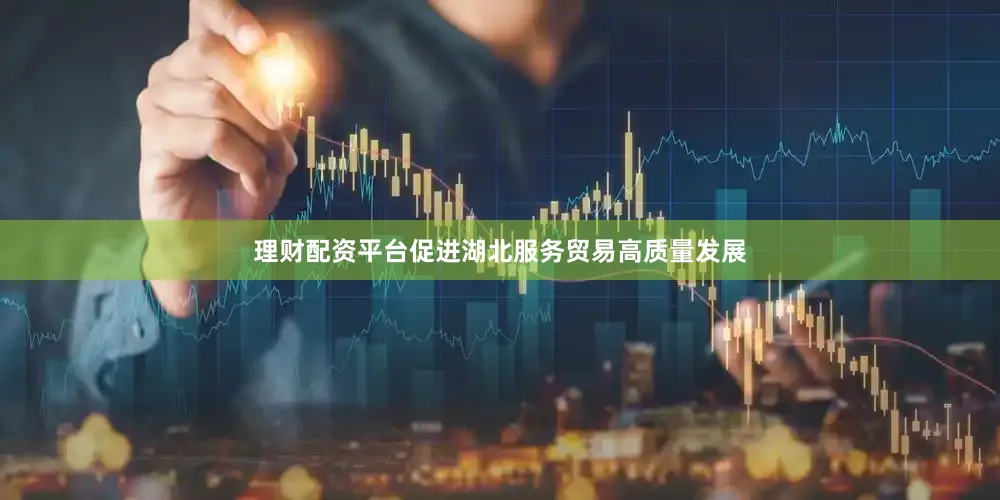 理财配资平台促进湖北服务贸易高质量发展